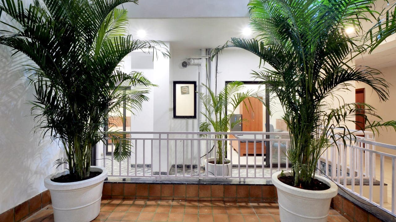 Palm-lined landing